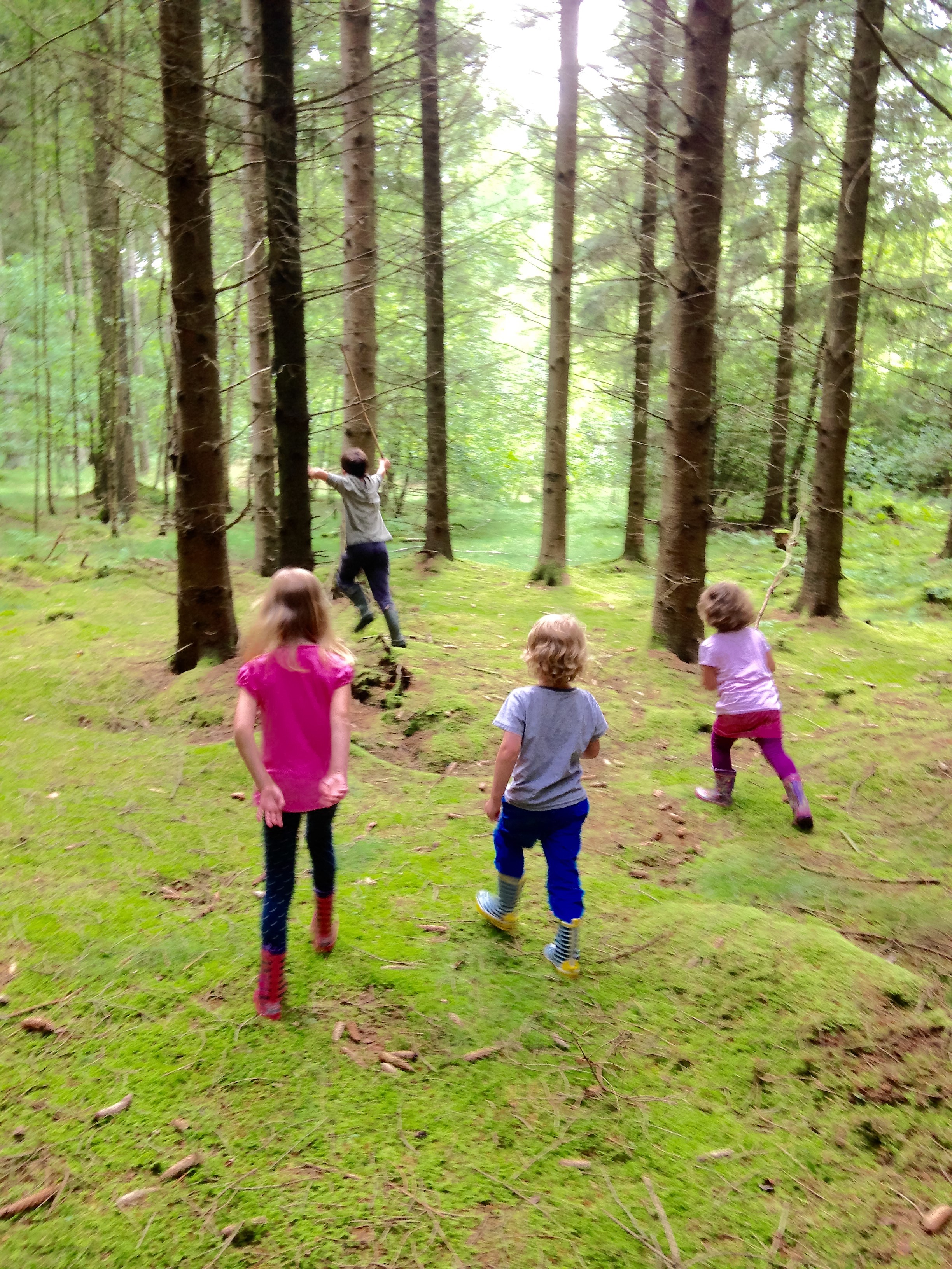 Wald 2