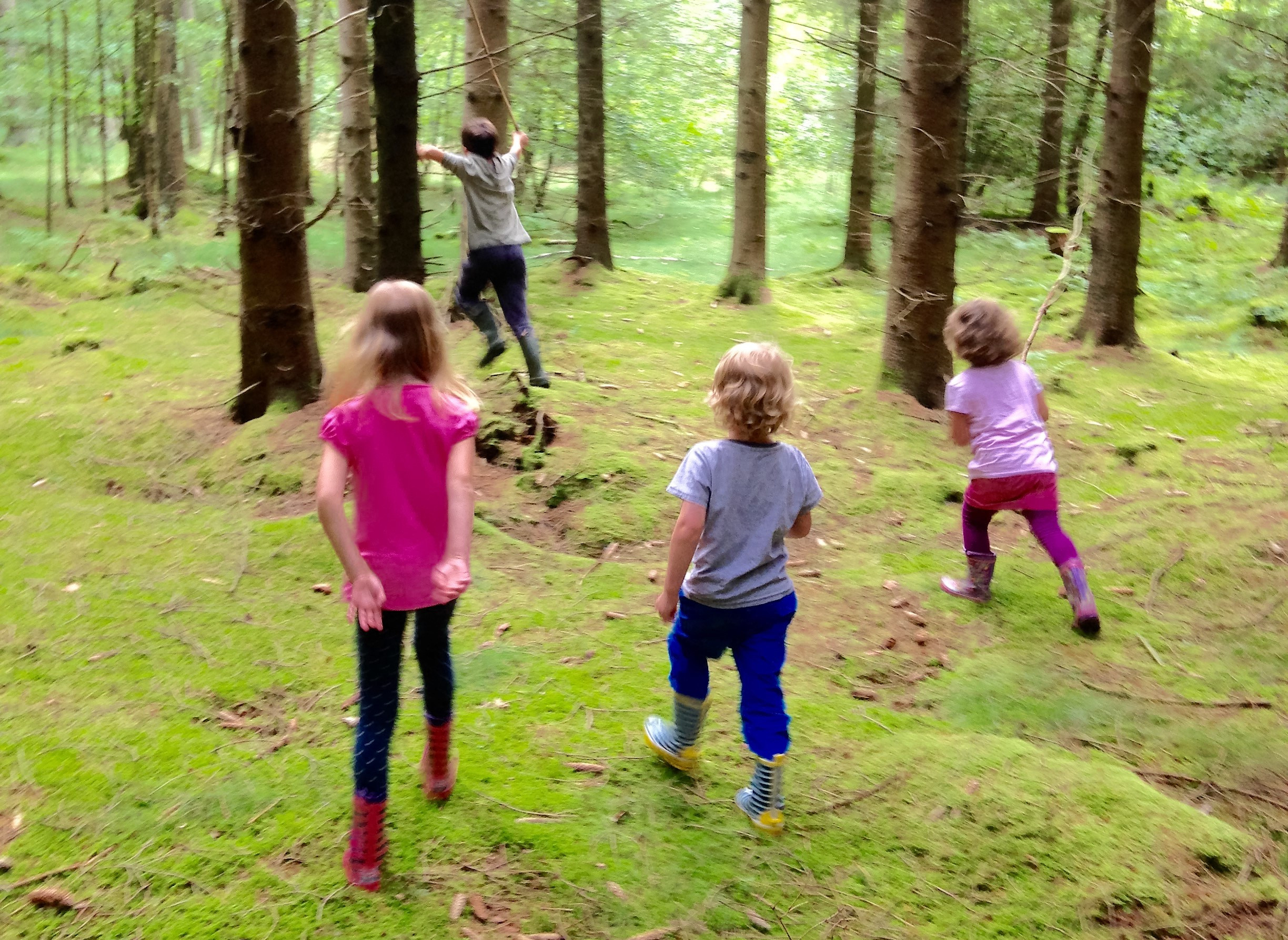 Wald 2a